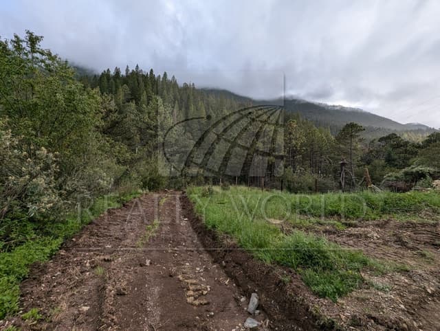 Terrenos en Venta en San Antonio de las Alazanas