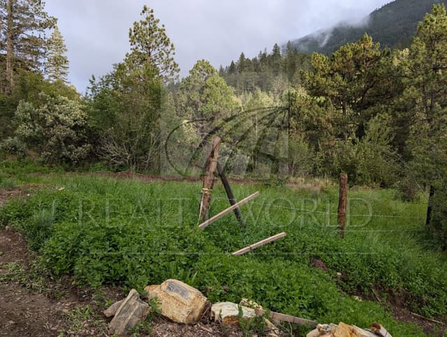 Terrenos en Venta en San Antonio de las Alazanas