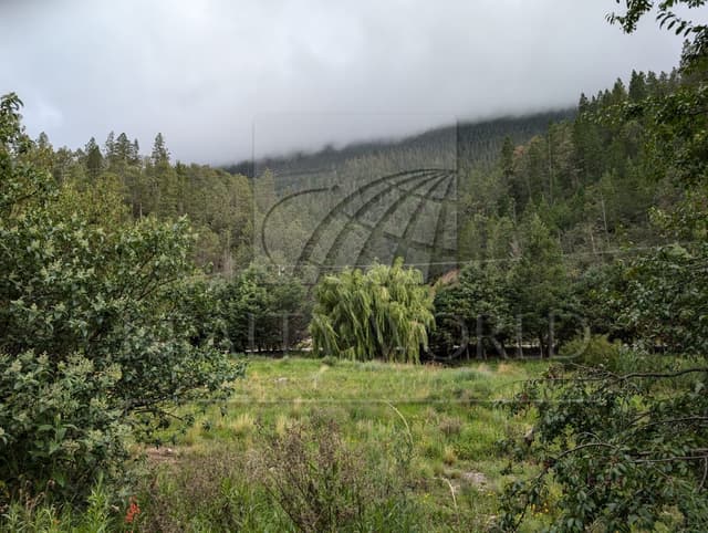 Terrenos en Venta en San Antonio de las Alazanas