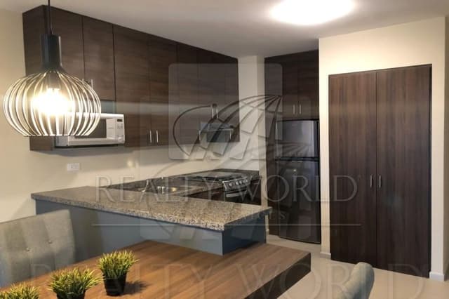 Departamentos en Renta en Monterrey Centro