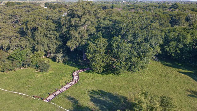 Terrenos en Venta en Sin Colonia