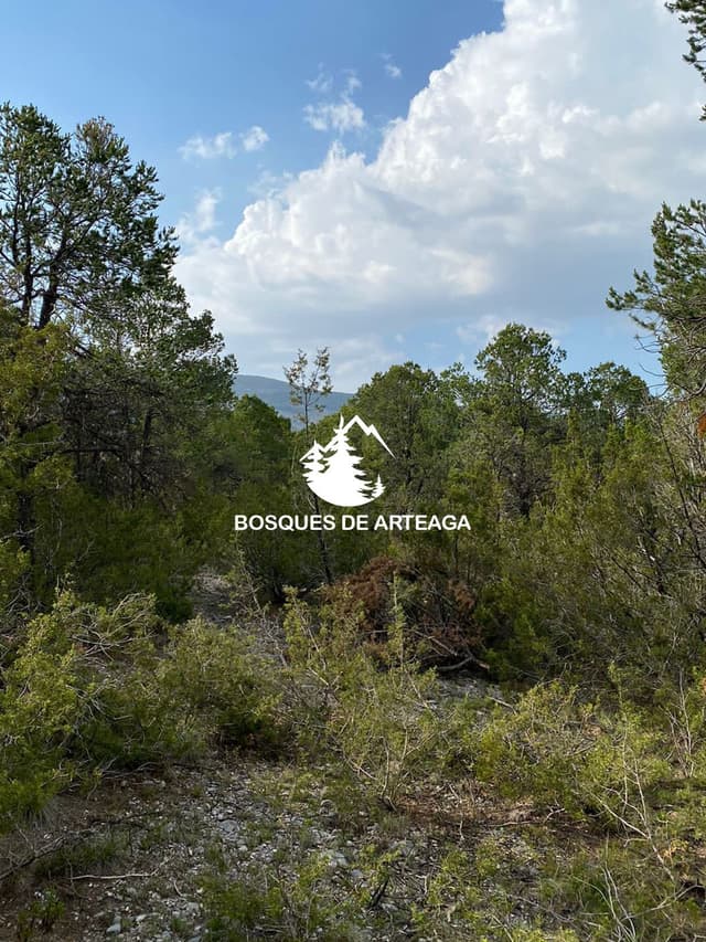 Terrenos en Venta en Sin Colonia