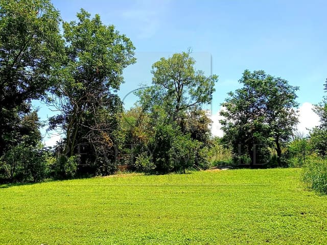 Terrenos en Venta en Pesquería