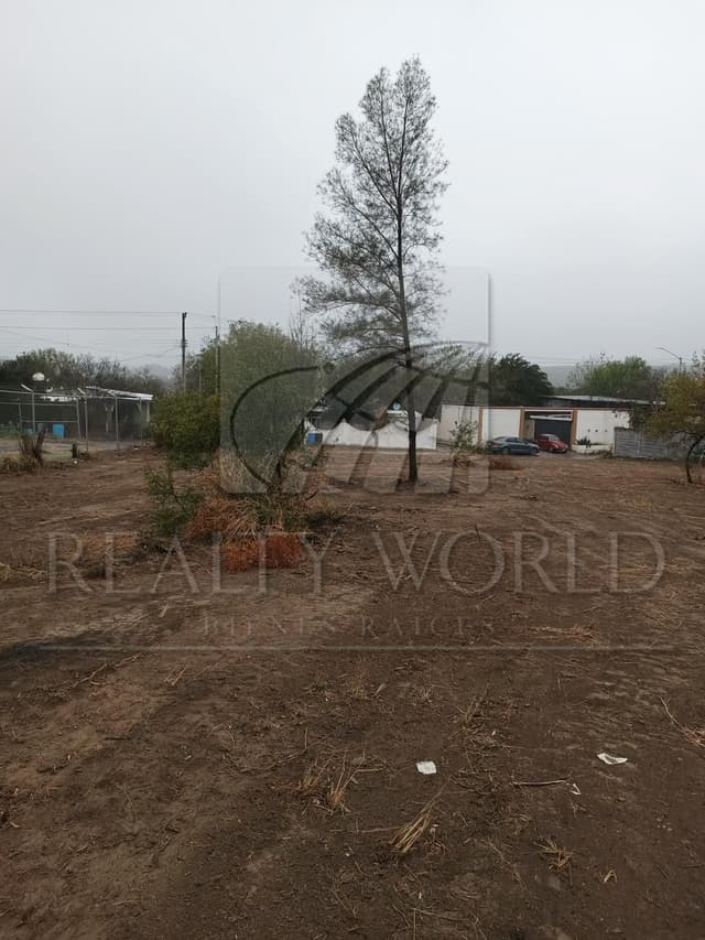 Terrenos en Venta en Montemorelos Centro