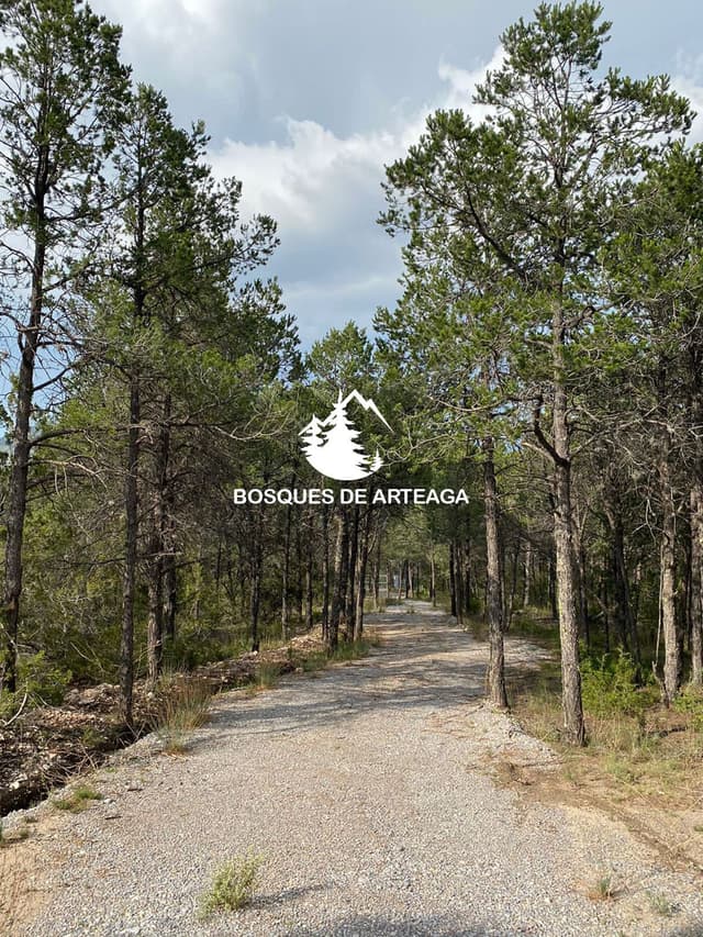 Terrenos en Venta en Sin Colonia