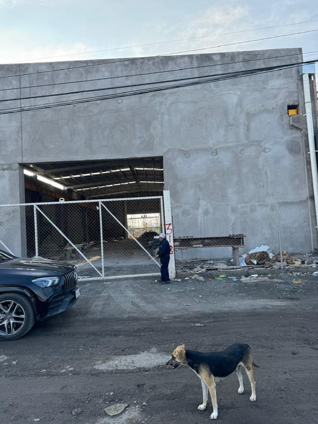 Bodegas en Renta en Sin Colonia