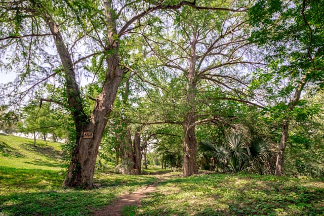 Terrenos en Venta en Sin Colonia
