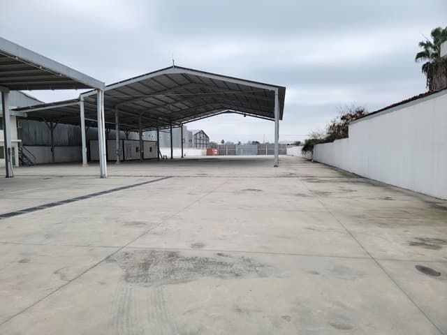 Terrenos en Renta en Moisés Sáenz