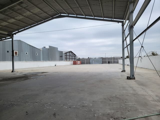 Terrenos en Renta en Moisés Sáenz