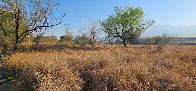 Terrenos en Renta en Solidaridad