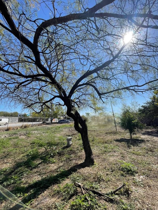 Terrenos en Venta en Agropecuaria Emiliano Zapata