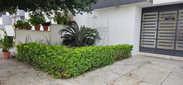 Casas en Renta en Las Lomas