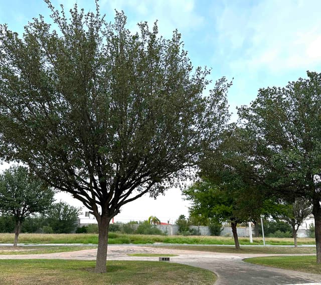 Quintas en Venta en Portal del Norte