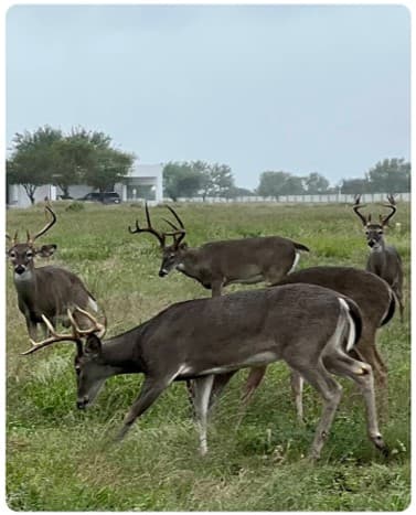 Terrenos en Venta en Las Aves Residencial and Golf Resort