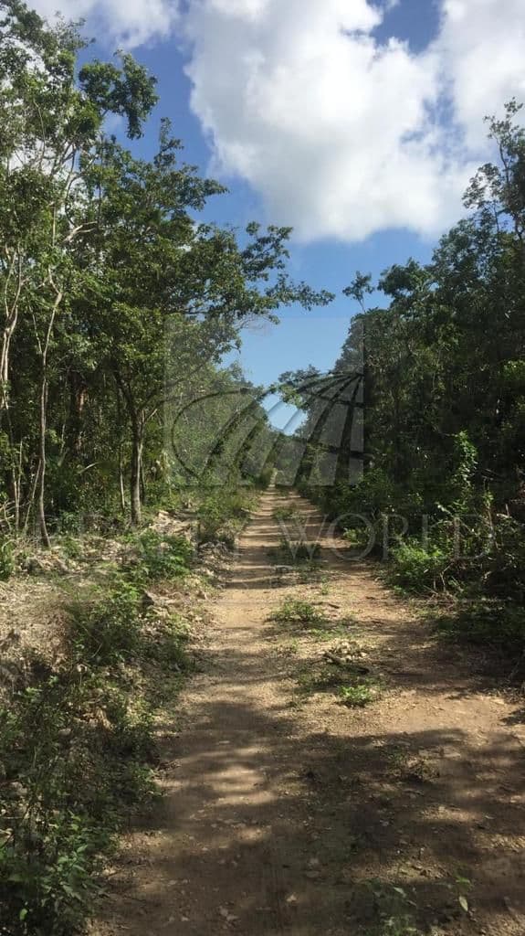Terrenos en Venta en Sin Colonia