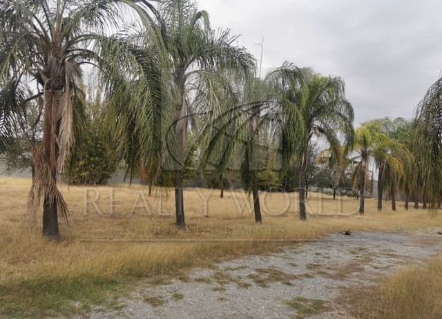 Terrenos en Venta en Los Huertos