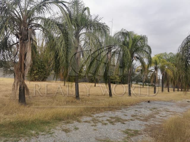 Quintas en Venta en Los Huertos