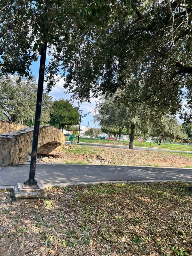 Casas en Renta en Cumbres San Agustín