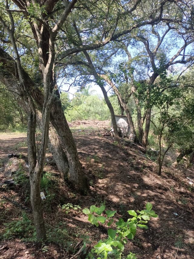 Terrenos en Venta en Canoas