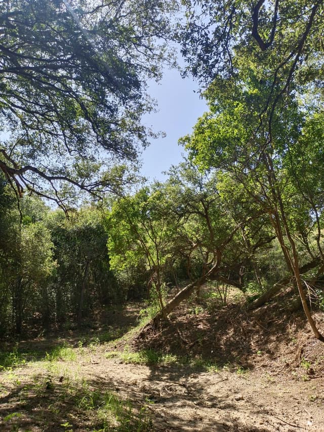 Terrenos en Venta en Canoas