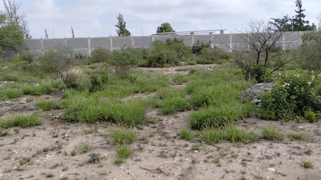 Terrenos en Venta en Villas Campestres