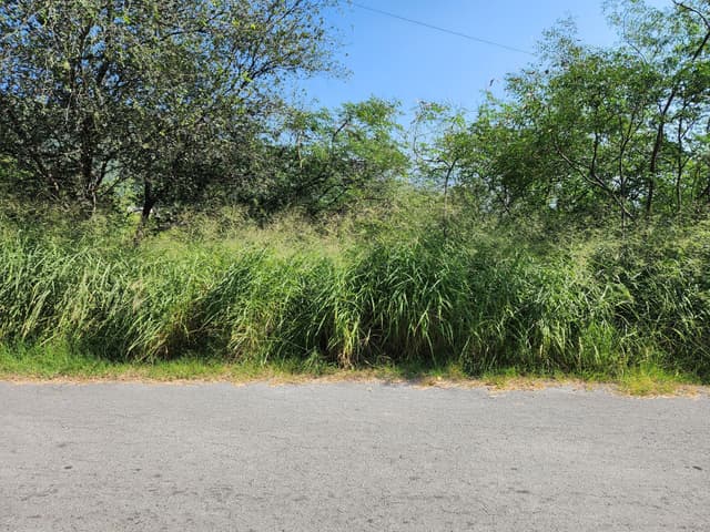 Terrenos en Venta en Cañadas del Sur