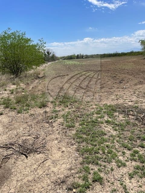 Terrenos en Venta en San Bartolo (Puerto Rico)