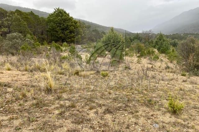 Terrenos en Venta en Arteaga Centro