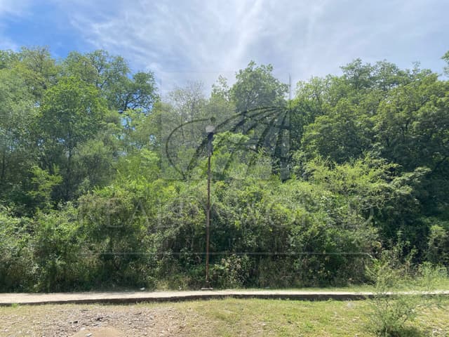 Terrenos en Venta en Bosque Residencial