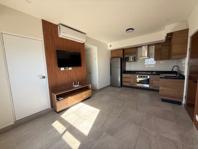 Departamentos en Renta en Industrial