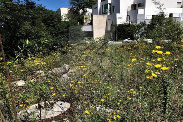 Terrenos en Venta en Colinas de San Ángel