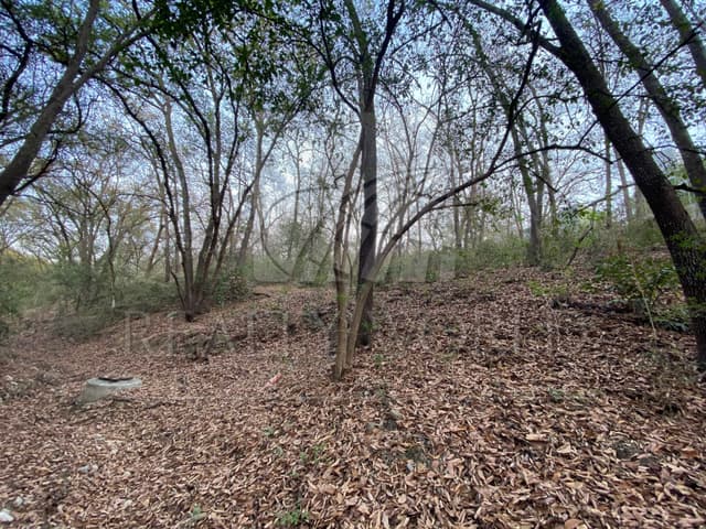 Terrenos en Venta en Bosque Residencial