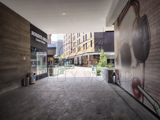 Locales en Renta en Ladrillera