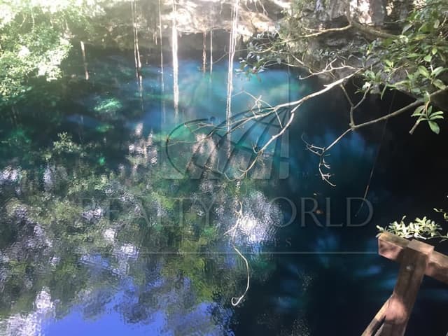 Terrenos en Venta en Sin Colonia