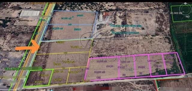 Terrenos en Renta en Sin Colonia