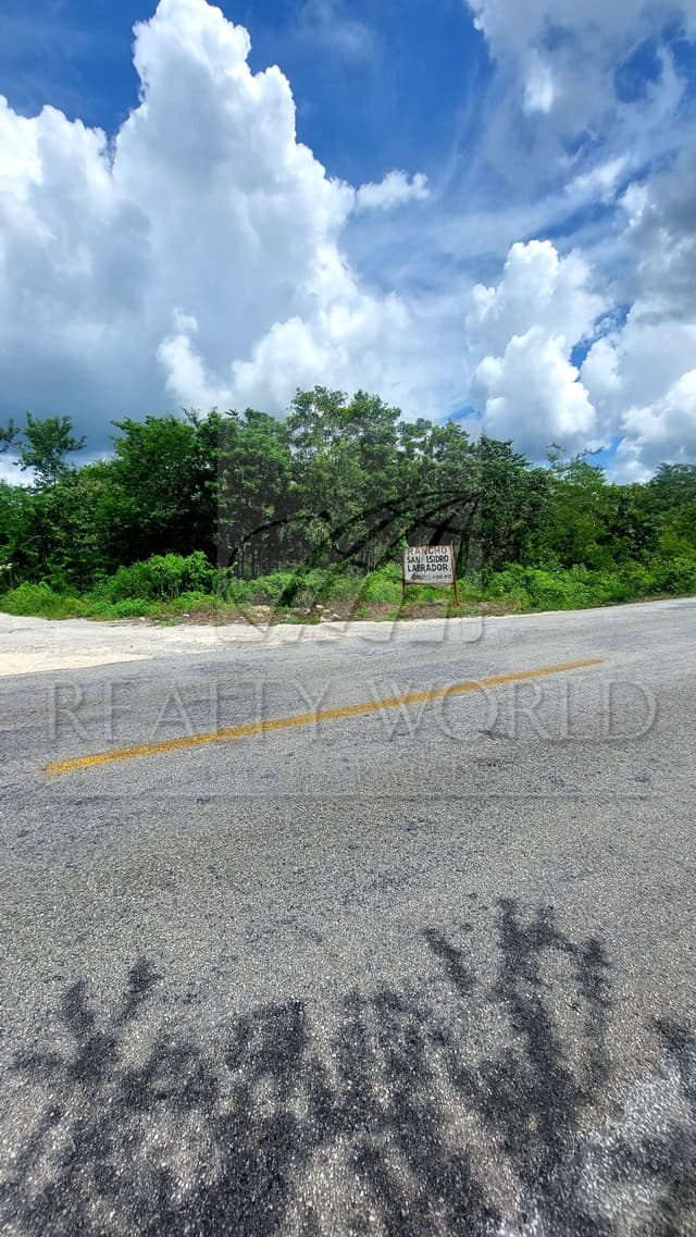 Terrenos en Venta en Leona Vicario