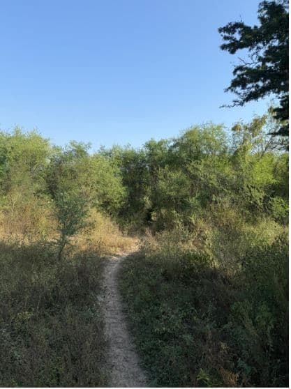 Terrenos en Venta en El Alamito