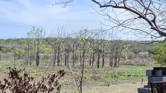 Terrenos en Venta en El Cerrito
