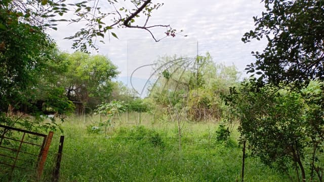 Terrenos en Venta en Sin Colonia