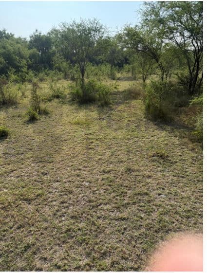 Terrenos en Venta en El Alamito