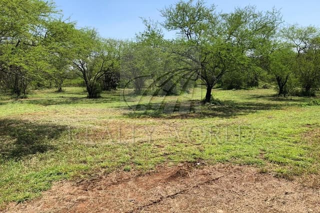 Terrenos en Venta en El Pastor
