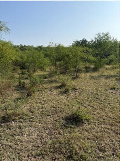 Terrenos en Venta en El Alamito