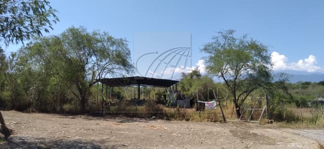 Terrenos en Renta en Los Sabinos