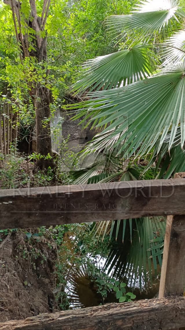 Terrenos en Venta en Sin Colonia