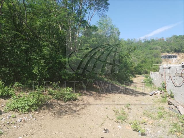 Terrenos en Venta en Valle Hidalgo (La Cotorra)