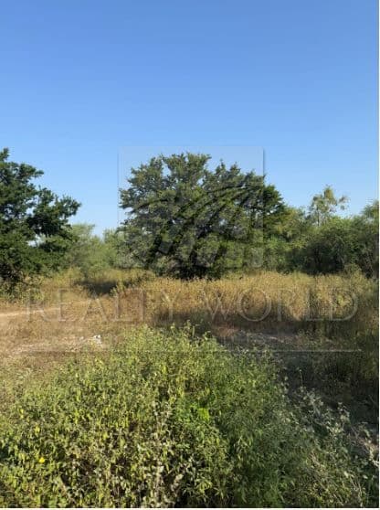 Terrenos en Venta en El Alamito