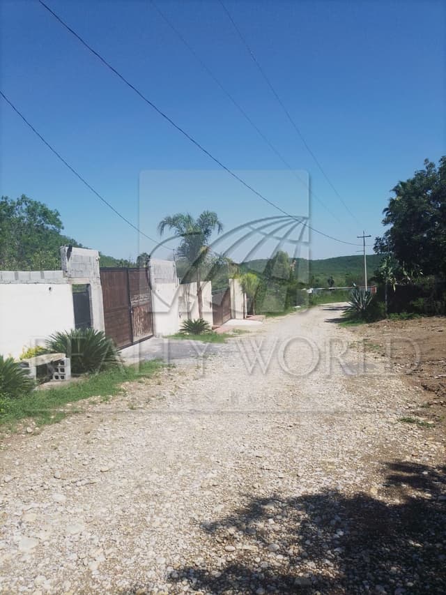 Terrenos en Venta en Valle Hidalgo (La Cotorra)