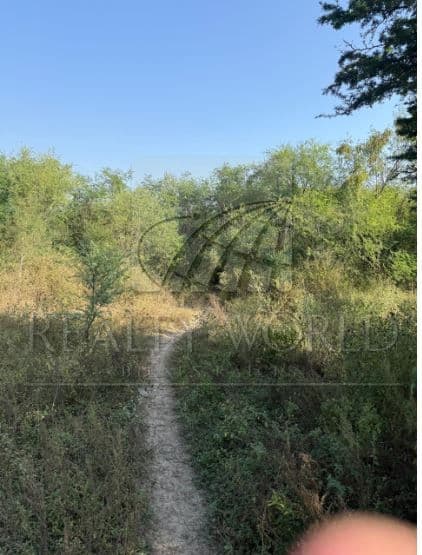 Terrenos en Venta en El Alamito