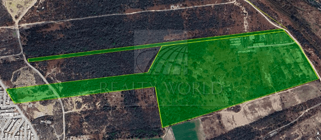 Terrenos en Venta en Ciénega de Flores Centro