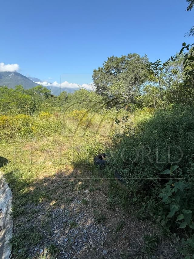 Terrenos en Venta en Privadas de las Lomas